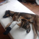 10-06-2010 Weer met ze 2en