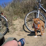 Mijn eerste daggie van me jonge leventje aan het strand!WOW wat is het…