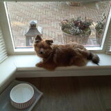 Gucci op wacht
