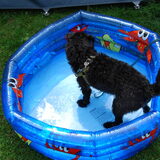 Waterpret