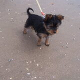 Eerste ervaring strand !!!