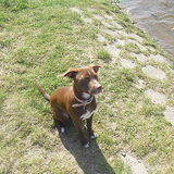 Foto van Nathalie