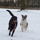 Lekker rennen met mijn vriendin Ice