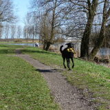 Rennen met wubba!