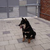 Dusty 8 maanden