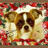 Kerstkaart 2008