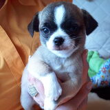 Onze baby...