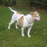 De mama van ons coco (mary-jane)