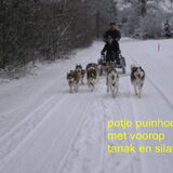 een team voor de kar.wij doen het voor de fun.