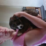 Ik met Arego Kruising heder/husky