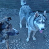 Links; Noeska Rechts; Akysha
