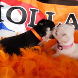 samen spelen,4 weken oud