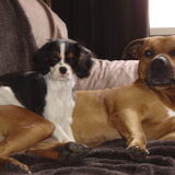 dana met grote vriend Quandor