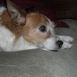 Kaisa 06-2009