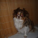 Cayden 09-2009