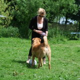 Welke bal wil je Dobber?