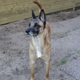 Ga je die bal nou nog gooien of niet?!