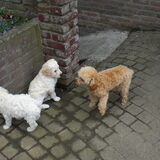 heeeeee kan ik jou¿¿¿¿¿¿¿¿¿¿¿¿¿