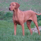 Luna hier 2 jaar