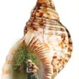 bean en vrouwtje. wij hadden het even koudt dus even in de schelp