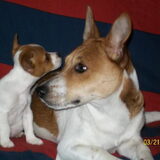 jazzy en poppy