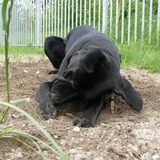 Foto van Eef en Tjibbe