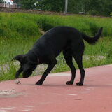 Foto van Eef en Tjibbe