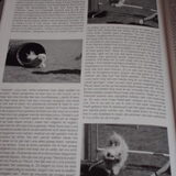 Foto van liesbeth,Turbo,Luna, Levi en Faith