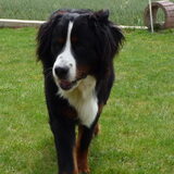 Aiko 1 jaar.