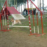 Zano over de sprong