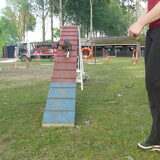 Renzo op de loopbrug