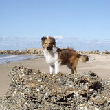 Butters 6 maand!