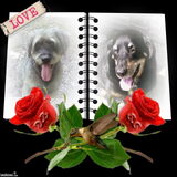 Foto van Marian