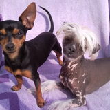 Onze beiden Prinsen in de zon!!!> Prins LaChatura Altair en Prins Syan…
