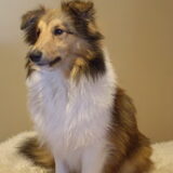 Butters (bijna) 8 maand!