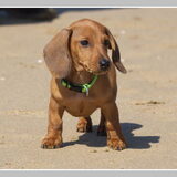 Op het strand 12 weken