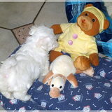 Noa 7 weken samen met haar knuffels