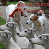 Foto van monique