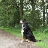 Max wacht op de bus hihi!