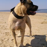 nitro afgelopen vrijdag lekker op t strand!