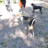 Foto van Corrina  & Bailey