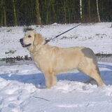 evita in de sneeuw