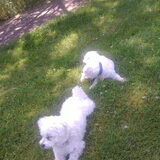 26-06-2010 Diesel en Mika