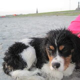 brr koud hoor