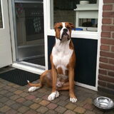 Foto van Kevin