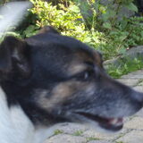 Foto van claudia& lady