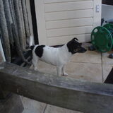 Foto van claudia& lady