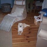 hier is de vader van Shadow