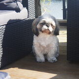 In de tuin