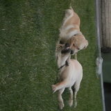 Foto van Ina en Boris